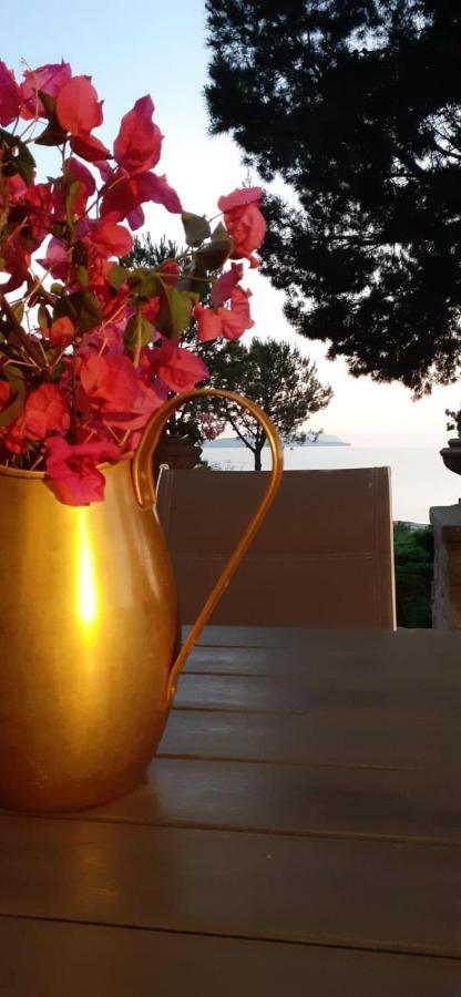 Casa "Le Terrazze" Villa เอริเช ภายนอก รูปภาพ